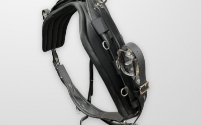 Partenariat RW HARNESS